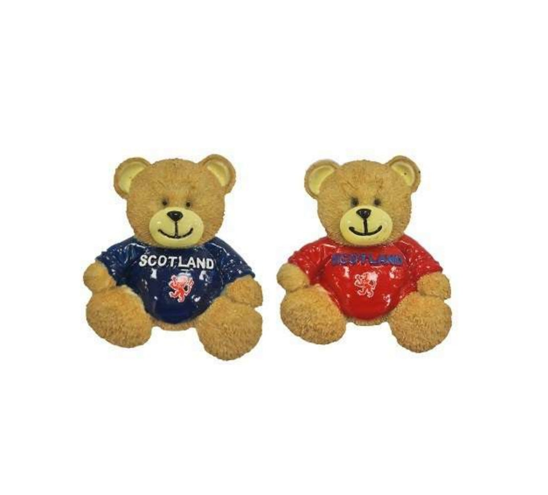 2-in-1 Teddy Bear Resin Magnet