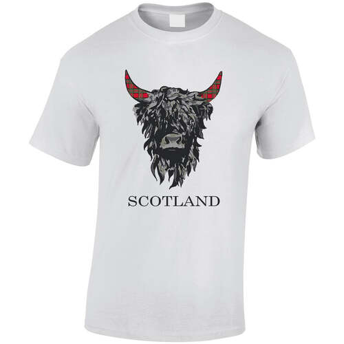 Highland Cow T-Shirt (White)
