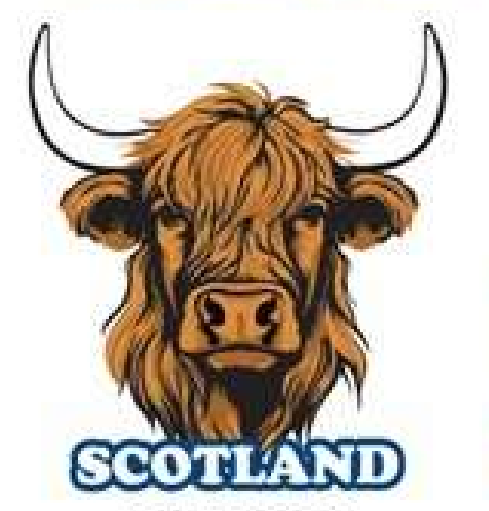 Pin Badge - Highland Cow