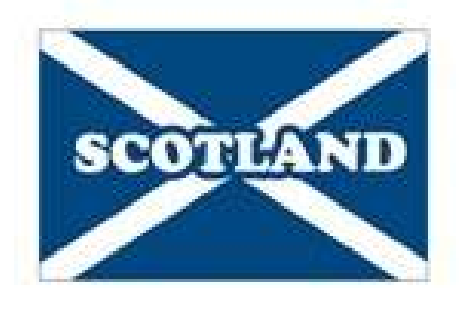 Pin Badge - Scotland Flag