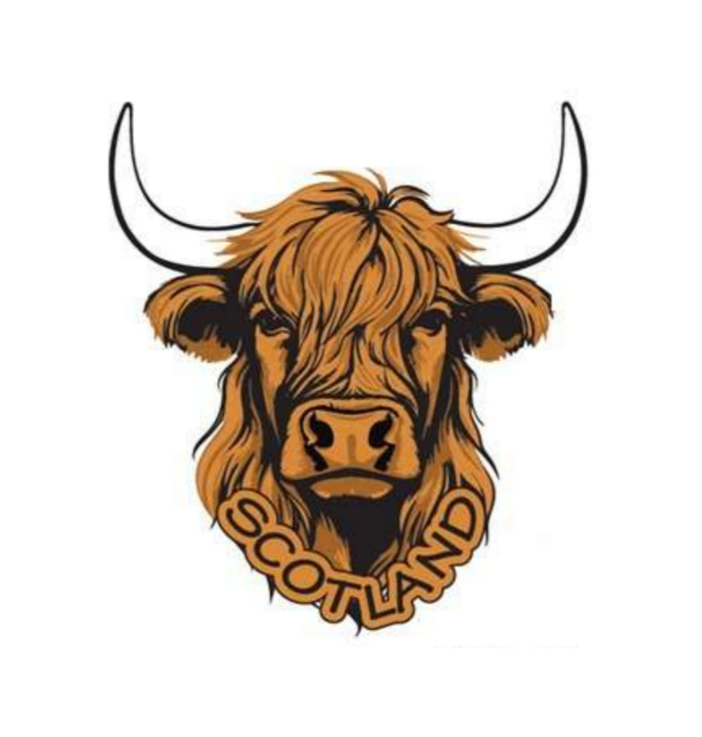 Resin Magnet - Highland Cow