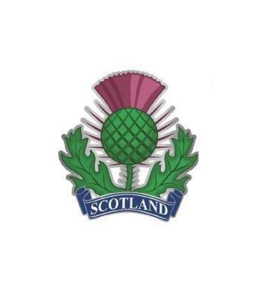 Metal Magnet - Scotland Thistle